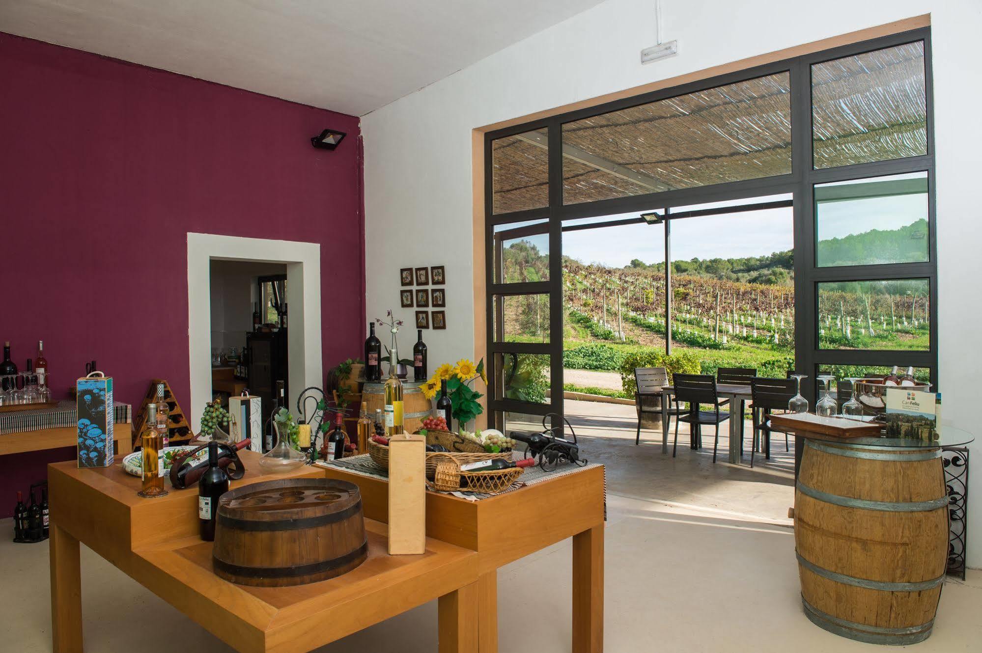 Hotel Rural Can Feliu بوريريس المظهر الخارجي الصورة