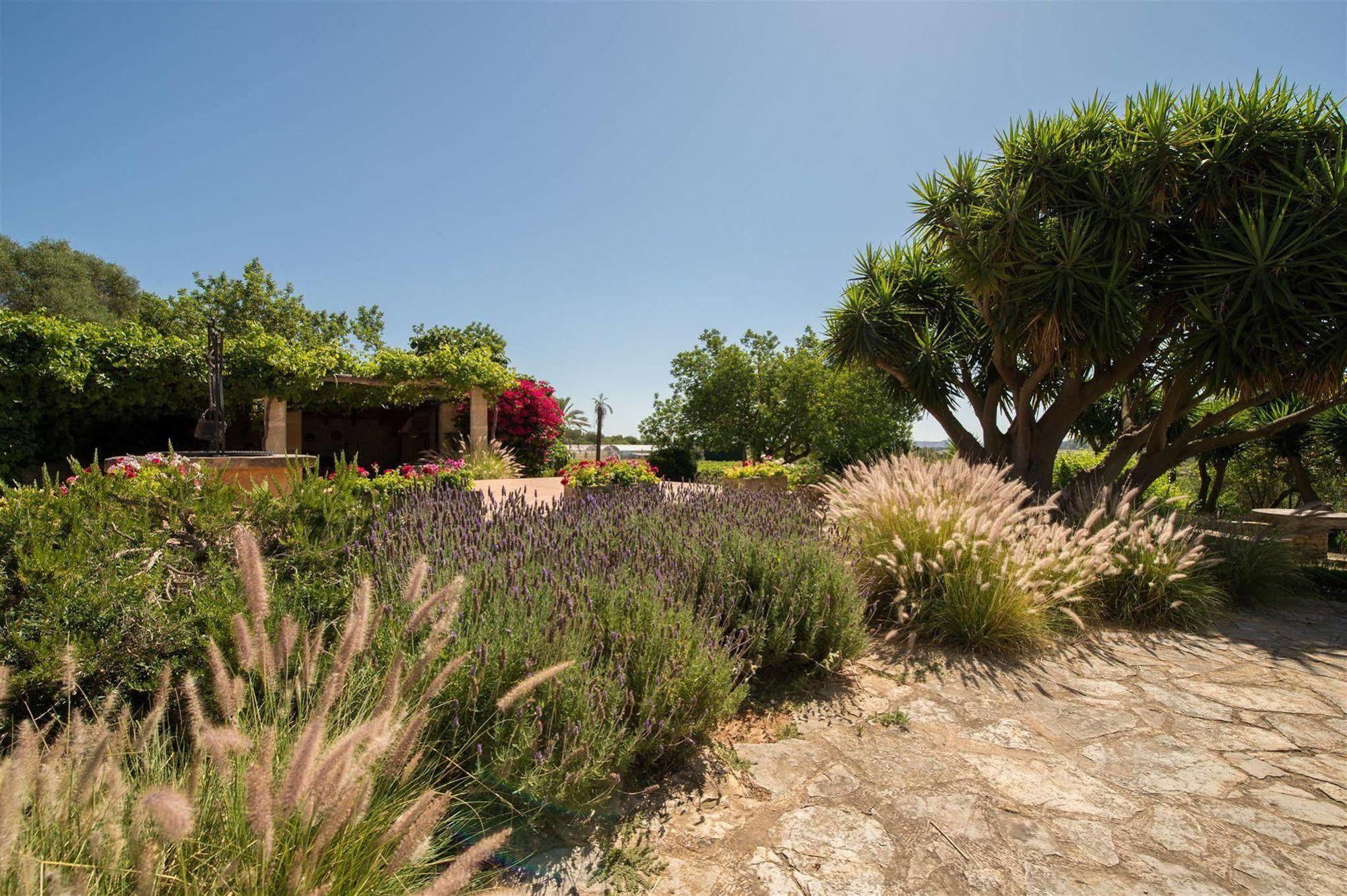Hotel Rural Can Feliu بوريريس المظهر الخارجي الصورة