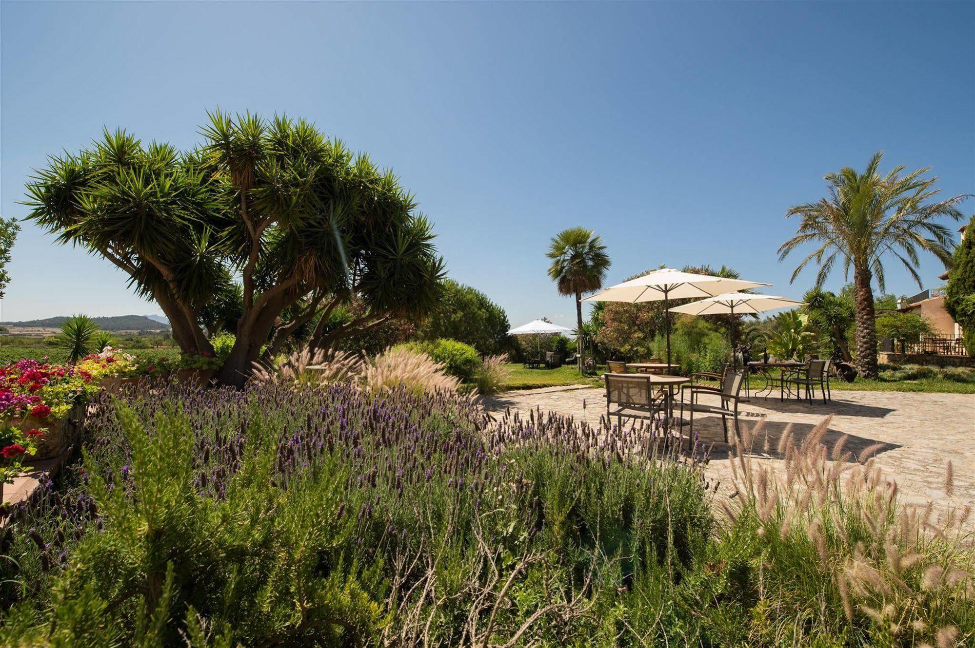 Hotel Rural Can Feliu بوريريس المظهر الخارجي الصورة